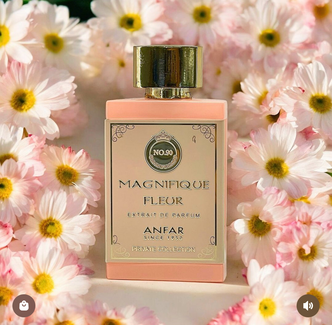 Magnifique Fleur 50ML Extrait de Parfum de Anfar